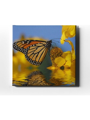 Desenlio Kelebek Kanvas Tablo