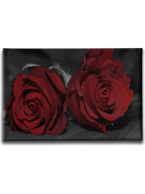 Desenlio Kırmızı Gül Kanvas Tablo