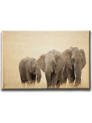 Desenlio Atlar Kanvas Tablo