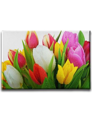 Desenlio Renkli Lale Kanvas Tablo
