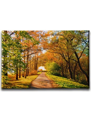 Desenlio Sonbahar Manzara Tablo