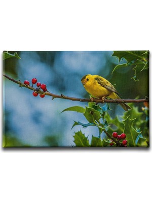 Desenlio Kaplan Kanvas Tablo