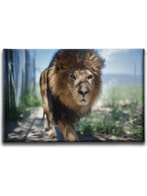 Desenlio Baykuş Kanvas Tablo