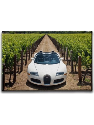 Desenlio Klasik Mavi Araba Canvas Tablo