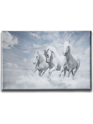 Desenlio Beyaz Atlar Kanvas Tablo