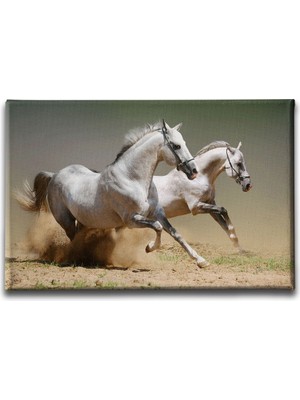 Desenlio Kedi Kanvas Tablo