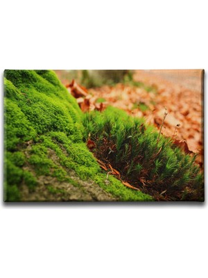 Desenlio Doğa Manzara Tablo