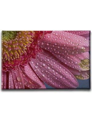 Desenlio Yağmur Damlalı Çiçek Tablo