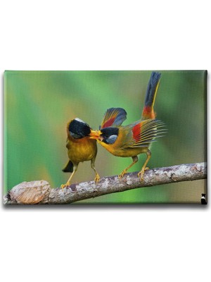 Desenlio Iki Kuş Kanvas Tablo