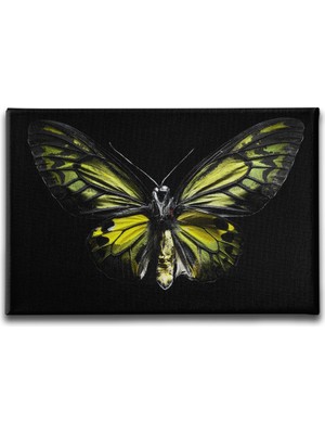 Desenlio Kelebek Kanvas Tablo