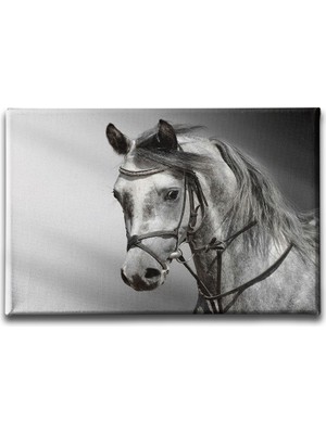 Desenlio Beyaz At Kanvas Tablo