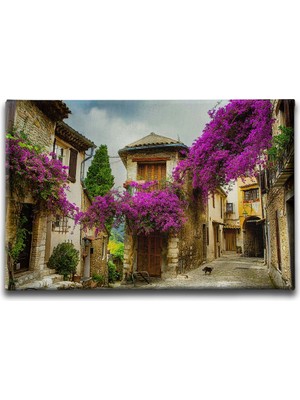 Desenlio Begonvil Sokağı Manzara Tablo