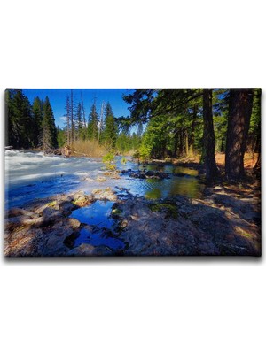 Desenlio Manzara Tablo