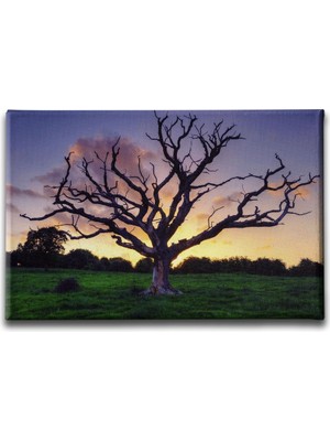Desenlio Ağaç Manzara Tablo
