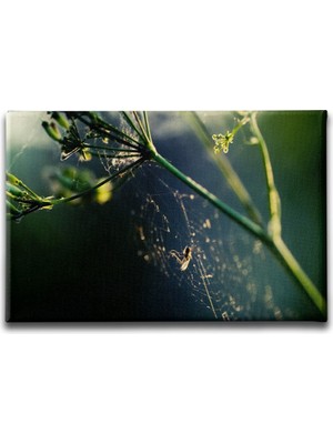 Desenlio Çiçek Manzara Tablo