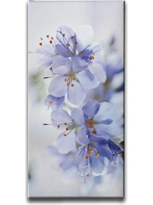 Desenlio Kiraz Çiçeği Kanvas Tablo