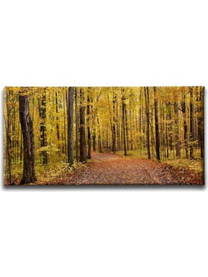 Desenlio Sonbahar Panoramik Kanvas Tablo