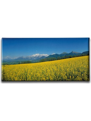 Desenlio Manzara Panoramik Kanvas Tablo