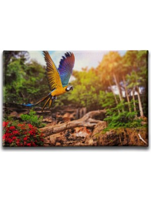 Desenlio Papağan Kanvas Tablo