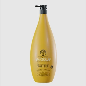 Hair Color Purification Şampuan 1000 ml