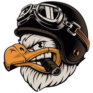 Quart Aksesuar 11 x 10,5 cm Kask Kartal Sticker Araba Laptop Oto Motor Sticker