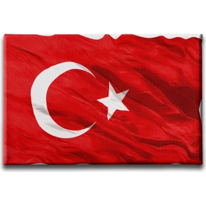 Türk Bayrağı Kanvas Tablo