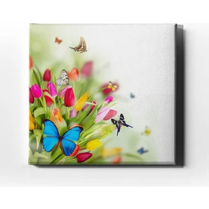 Kelebek Kanvas Tablo