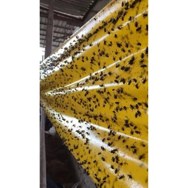 Elektro Frog Rulo Sinek Yapışkanı Bant 100 Metre Sera Çiftli Için Yakalayıcı.