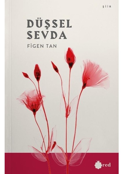 Düşsel Sevda - Figen Tan