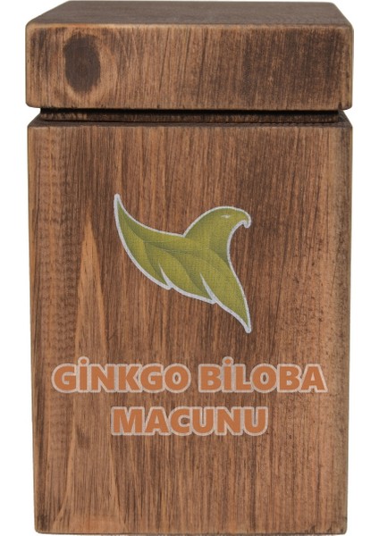 Ginko Bilobalı Macun 230GR