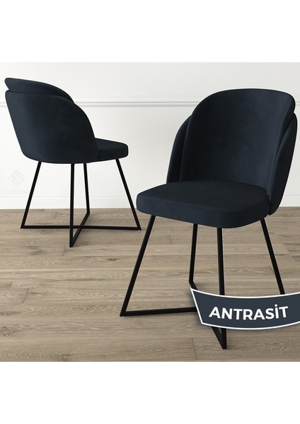 Concept Pape Serisi 6 Adet Babyface Kumaş Çift Papel Metal Siyah Ayaklı Mutfak Sandalyesi fiyatları