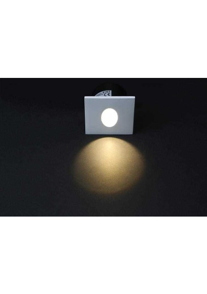 CT-5179 3 Watt Beyaz Kasa Koridör Armatürü Günışığı fiyatları