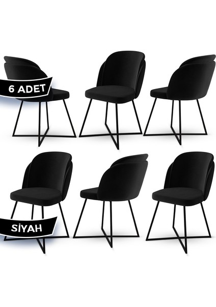 Concept Pape Serisi 6 Adet Babyface Kumaş Çift Papel Metal Siyah Ayaklı Mutfak Sandalyesi fiyatları