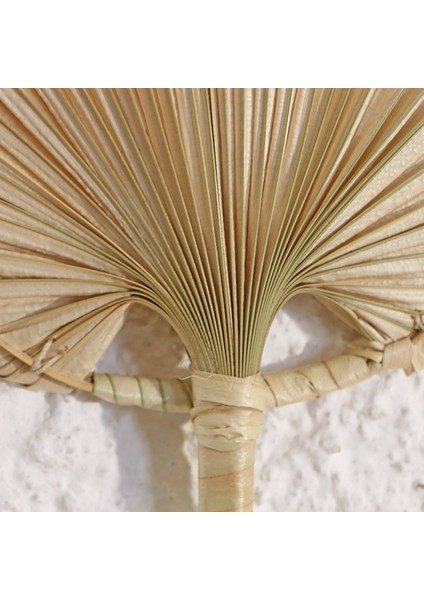 Bohem Japon Yelpazesi 19X28 Cm, Duvar Dekorasyon, Duvar Süsü, Iskandinav, Modern, Rattan fiyatları