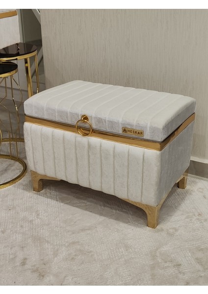 2 Li Altın Şeritli Modern Gelin Çeyiz Sandığı fiyatları