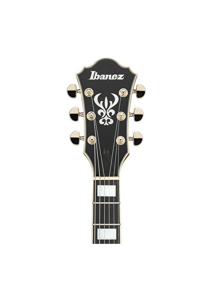 AS93FM-TCD AS Elektro Gitar fırsatları