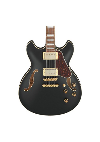 AS73G-BKF Artcore AS Serisi Elektro Gitar modelleri