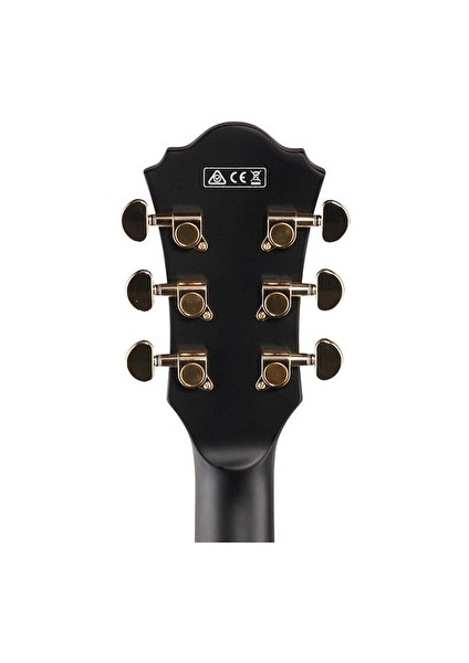 AS73G-BKF Artcore AS Serisi Elektro Gitar indirimleri