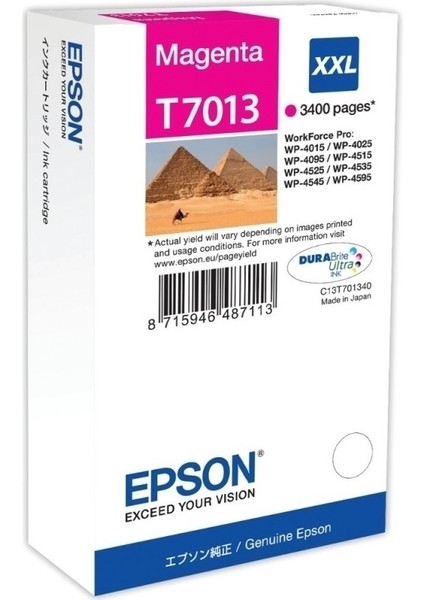 HPZR Epson T7013XXL C13T70134010 Kırmızı Kartuş