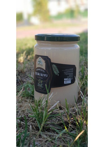 Çelik Suyu (Demir Suyu) 660 ml