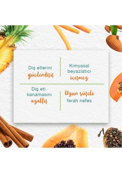 Total Care Bitkisel Diş Macunu, Florürsüz, Parabensiz, Bitkisel Enzim, 100 ml/125 gr