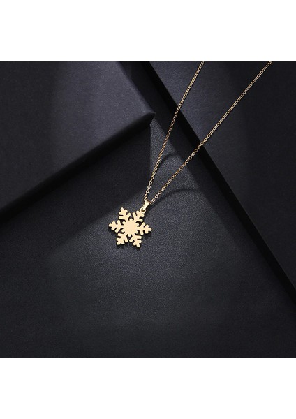 Kar Tanesi Altın Kaplama Gümüş Kolye fiyatları