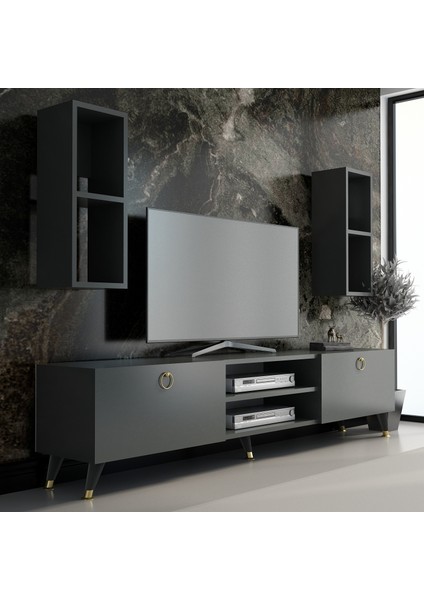 X2136 Gold Tv Ünitesi Antrasit