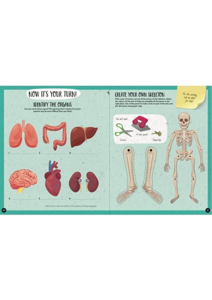 What- How- Why - Human Body
