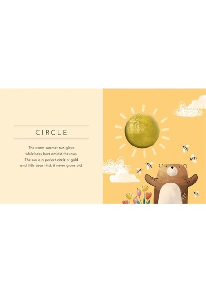 Touch And Feel - Shapes modelleri