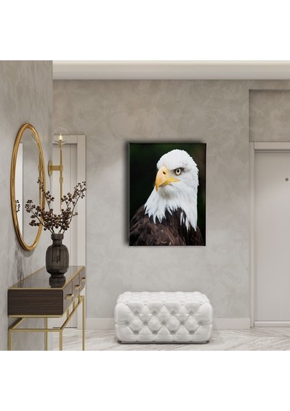 Kartal Kanvas Tablo