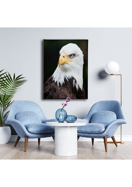 Kartal Kanvas Tablo