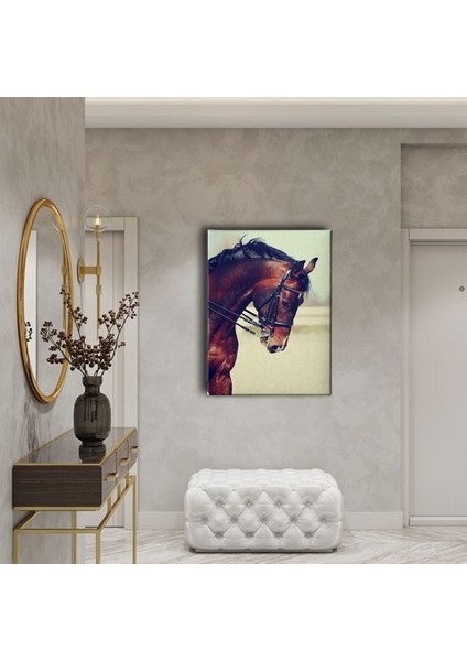 At Kanvas Tablo fiyatları