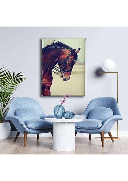 At Kanvas Tablo modelleri