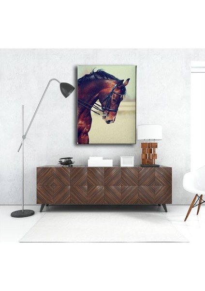 At Kanvas Tablo fırsatları